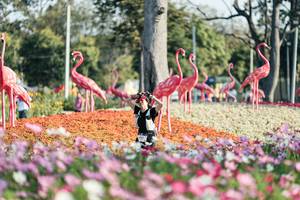 BIB: 
                            <button type="button" onclick="openModal(27344260)" class="btn btn-primary btn-sm float-right btn-popup" data-toggle="modal" data-target=".modal-high-quality">
                        <i class="fas fa-shopping-cart"></i> Add to Cart
                    </button>
                                            <button type="button" onclick="isThisMe(27344260, true)" class="btn btn-success btn-sm float-right btn-popup btn-isme hidden" data-toggle="tooltip" data-placement="bottom" title="นี่คือรูปของคุณใช่ไหม คลิกที่นี่เพื่อเอาเข้าอัลบั้ม">
                        <i class="fas fa-plus"></i> Add to album
                    </button>
                    <button type="button" onclick="isThisMe(27344260, false)" class="btn btn-warning btn-sm float-right btn-popup btn-isnotme hidden">
                        <i class="fas fa-ban"></i> Remove from album
                    </button>